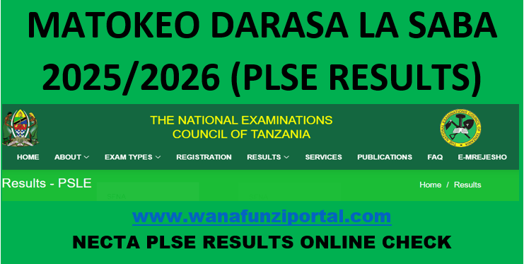 Matokeo Darasa la saba 2025/26 | PLSE Results 2025